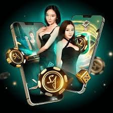 vipvip666